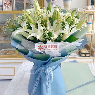 铁岭8支白色多头百合洋甘菊，互倾的思念