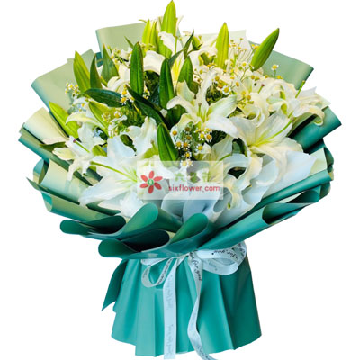 铁岭8支白色多头百合洋甘菊，如潮的思念