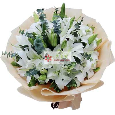 铁岭9支白色多头百合，祝福你幸福